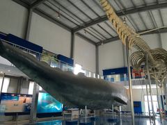 -上海海洋大学鱼文化博物馆(军工路校区)