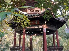 -杭州半山国家森林公园