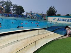 -秦皇岛乐岛海洋王国