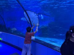 -泉城欧乐堡海洋极地世界