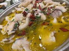 -刘胖子家常菜·蹄花焖藕(中南店)