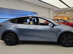 -TESLA 特斯拉(郑州正弘城体验店)