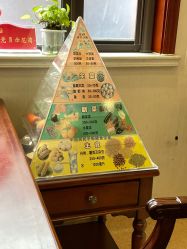 -上海百佳妇产医院