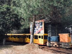 矿山小火车-遂昌金矿国家矿山公园