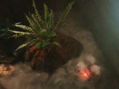 -泰之源足浴会所(玉环店)