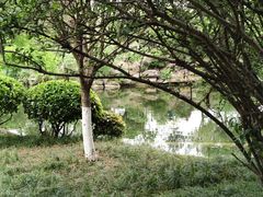 -桂湖森林公园
