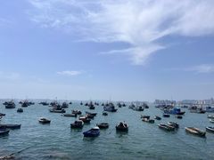 -海源公园