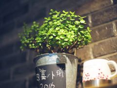 -四喜小胖·北京涮肉(五道营店)