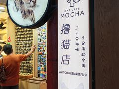 -MOCHA明星猫咖(田子坊店)