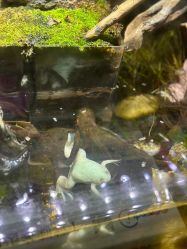 -酷嗒动物文化乐园(cutezoo西溪乐天城店)