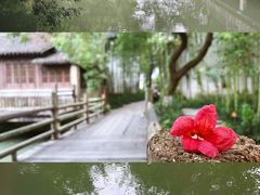 -乌村