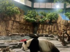 -泉州海丝野生动物世界