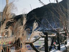 -快活林烧烤(红新路店)