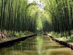 -同里国家湿地公园