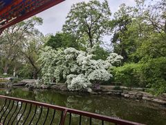 -北京大学赛克勒考古与艺术博物馆
