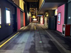 -万达影城(闵行颛桥万达广场杜比影院店)