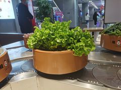 -龍歌自助小火锅(市南金茂湾店)