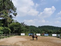 -枫露马术学院(藏书校区)