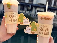 柠檬奶-猫的魔法密林(衣裳街店)