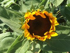 -艾溪湖湿地公园