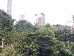 -九龙公园