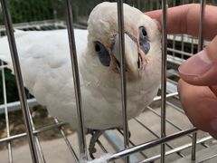 -观澜山水田园