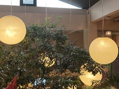 -馋嘴猫北京食堂·烤鸭·宵夜(亚运村店)