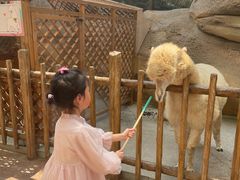 -杭州开元森泊度假乐园