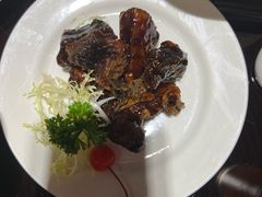 -外高桥喜来登酒店采悦轩