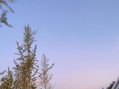 -银川河东国际机场-T1航站楼