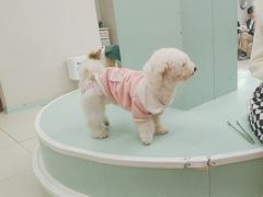 -怪兽屋·羊驼·猫咖·狗咖(俊华广场店)