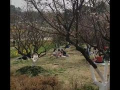 -秀丽东方