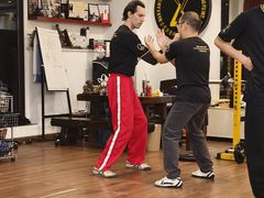-温鉴良实用咏春拳