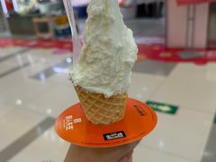 -野人先生Gelato(上海长宁龙之梦店)