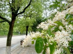 -昭山风景名胜区