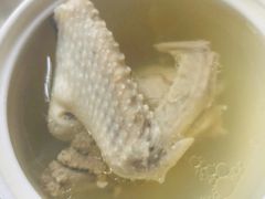 清炖鸽子-食家鸽园