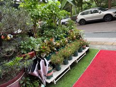 -山水茶艺馆·点心粤菜·30年老字号