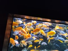 -海合安天津极地海洋公园