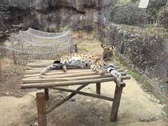 -杭州野生动物世界