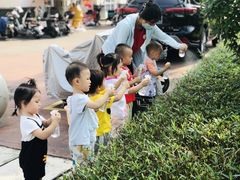 -全优加早教托育园(金海岸店)