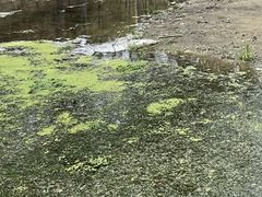 -白水寺森林公园
