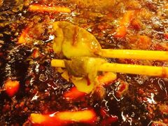 -朱氏胖子烂火锅(洪崖洞店)