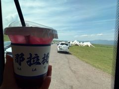 -新疆那拉提国家旅游度假区