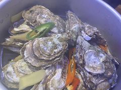 -千岛蚝高压锅生蚝·人参火锅(白云万达店)