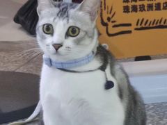 -谜盒子奇幻密室(南屏店)