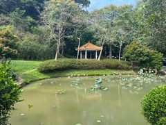 -火炉山森林公园