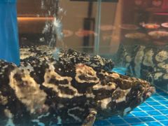 -百富源·海鲜辽菜(张士店)