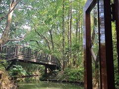 -同里国家湿地公园
