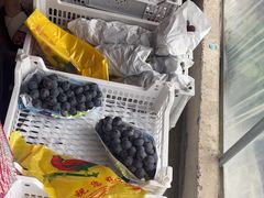 -马陆小张葡萄园农家乐