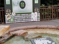 -天目湖涵田半山温泉